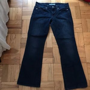 Joe’s jeans (rocker fit)